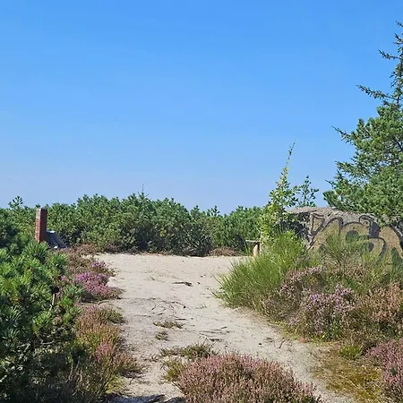 6 Person In Henne Ferienhaus