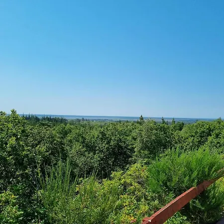 6 Person In Henne Ferienhaus *