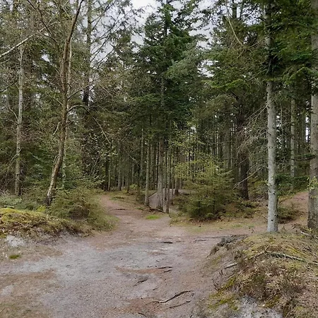 6 Person In Henne Ferienhaus Henne Strand