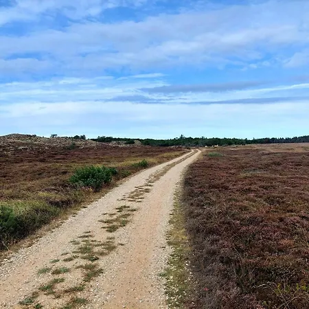 Ferienhaus 6 Person In Henne Henne Strand