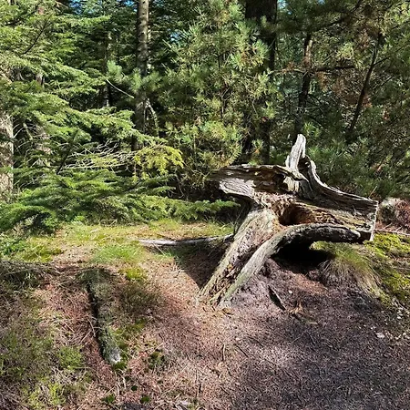 6 Person In Henne Ferienhaus *