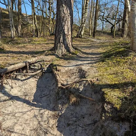 Ferienhaus 6 Person In Henne *