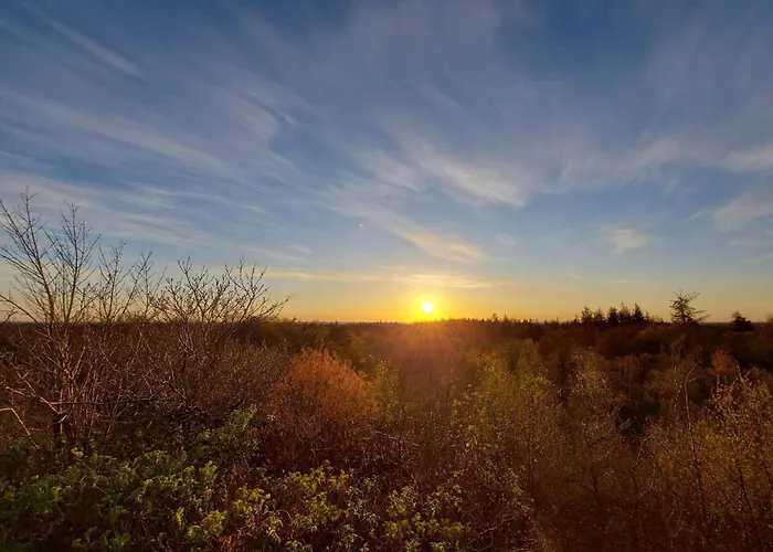 6 Person In Henne 亨讷斯特兰德