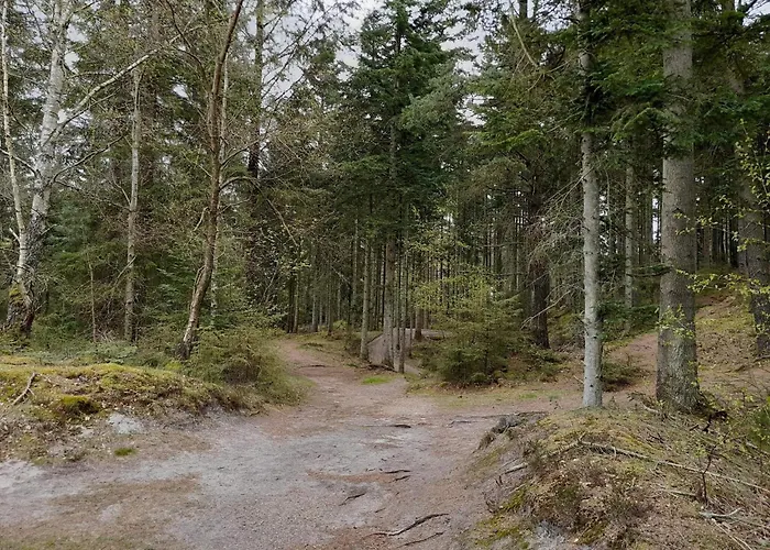 6 Person In Henne 度假居 亨讷斯特兰德