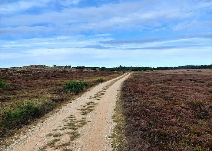 度假居 6 Person In Henne 亨讷斯特兰德