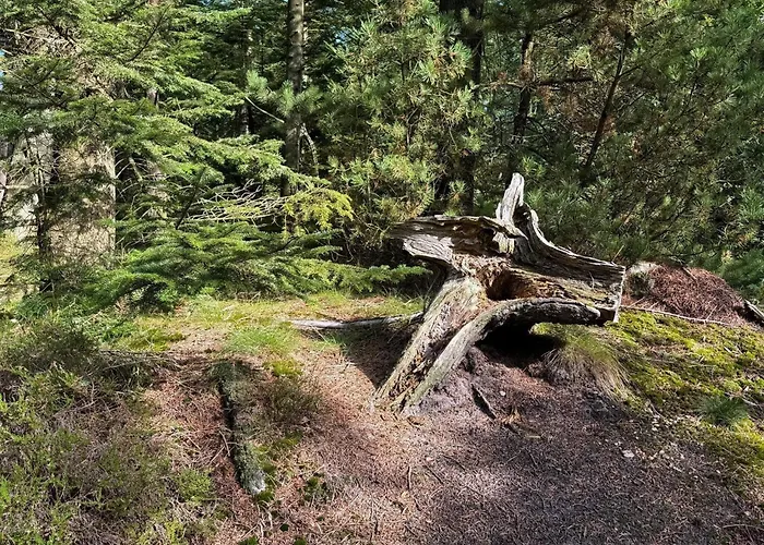 6 Person In Henne 度假居 *