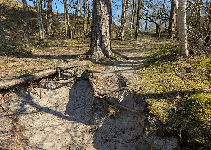 度假居 6 Person In Henne *